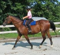 Riding Camp in northern Virginia