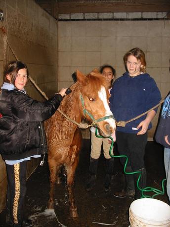 spring break riding camp